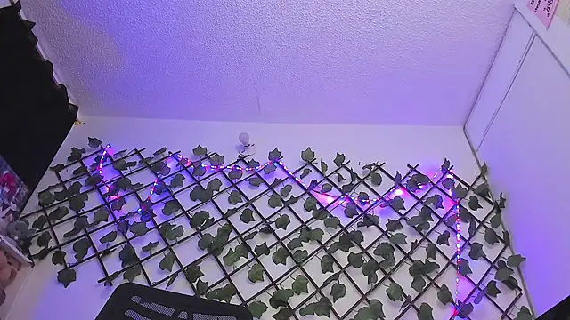 Pucaa  online show from January 18, 2025, 12:46 am