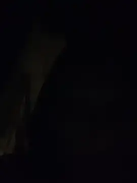 Boysex227 online show from November 14, 2025, 6:06 pm