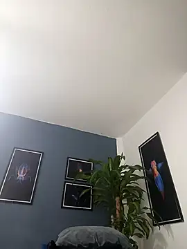 SilvaBranko online show from December 19, 2025, 2:07 am