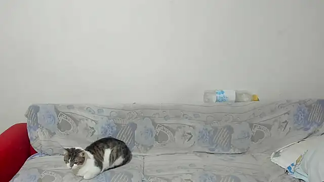 ANGELALEXYNO2024 online show from February 26, 2025, 8:26 am