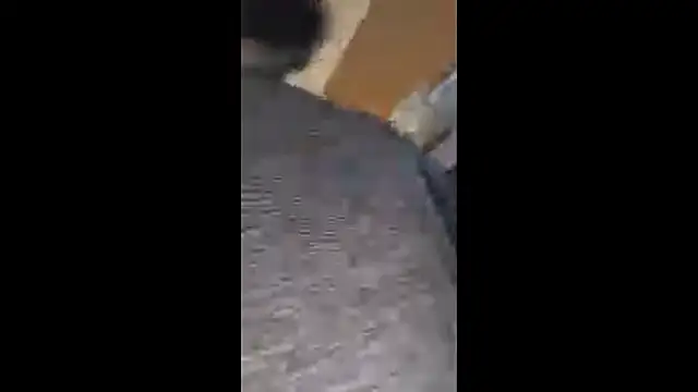 Armyexhibitionistvet online show from October 20, 2025, 8:15 am