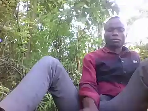 Javan  online show from December 30, 2024, 2:08 pm