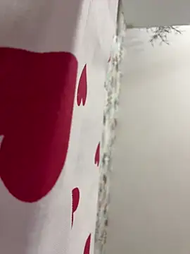 Snapshot of adel_secret chatting on February 28, 2026, 8:32 pm adel secret online show from February 28, 2026, 8:32 pm