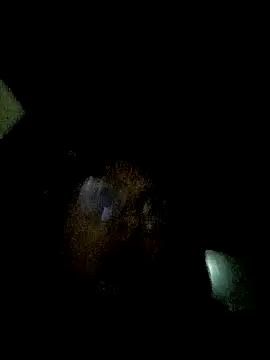 Caroll Luna online show from December 21, 2024, 4:30 am