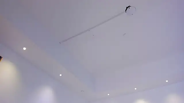 saracorraless online show from December 13, 2024, 8:09 am