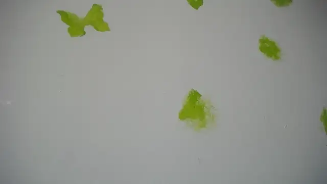 RACHELL  HOT online show from September 30, 2025, 6:35 pm