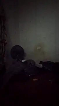 Flaquito pitudo online show from December 9, 2024, 8:22 am