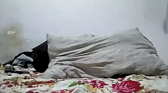 Flaquito pitudo online show from December 29, 2024, 11:08 pm