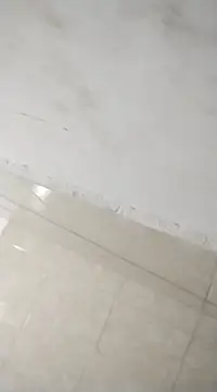 Flaquito pitudo online show from February 25, 2025, 12:03 pm