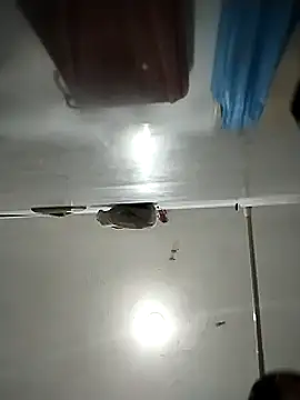 Flaquito pitudo online show from March 1, 2025, 11:50 am