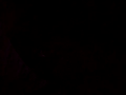 Flaquito pitudo online show from March 12, 2025, 8:30 am