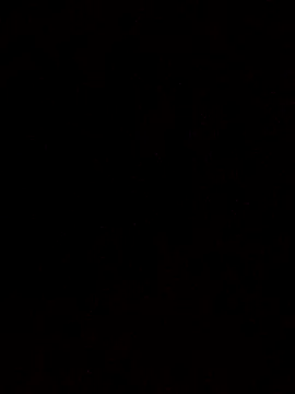 Flaquito pitudo online show from March 18, 2025, 10:36 am