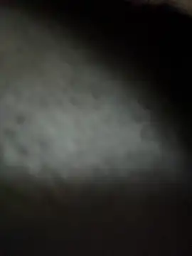 RiriRoseey online show from November 19, 2025, 8:36 am