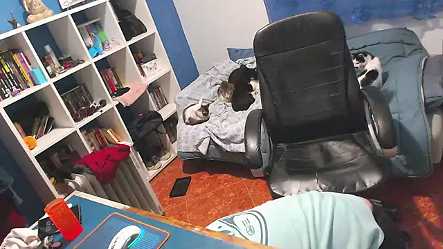 ravingr4d4 online show from February 2, 2026, 11:25 pm