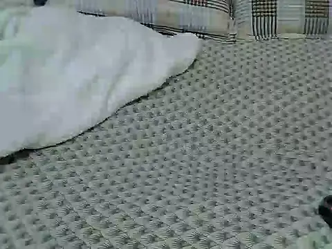 carey2 online show from December 20, 2025, 5:03 am