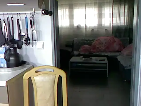 Snapshot of pimmelmann3 chatting on November 15, 2025, 11:40 am pimmelmann3 online show from November 15, 2025, 11:40 am