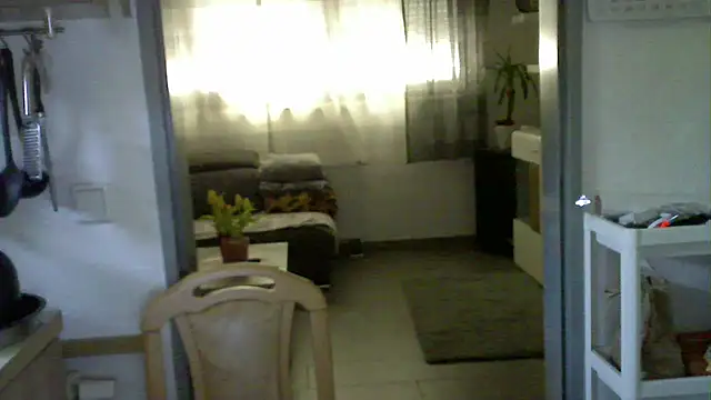 Snapshot of pimmelmann3 chatting on April 23, 2026, 10:36 am pimmelmann3 online show from April 23, 2026, 10:36 am