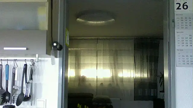 Snapshot of pimmelmann3 chatting on April 23, 2026, 12:29 pm pimmelmann3 online show from April 23, 2026, 12:29 pm