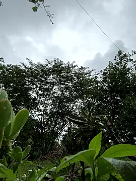 ViolettaSummer online show from January 12, 2026, 1:05 pm