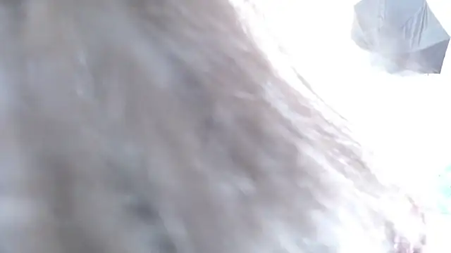 michel cardona online show from December 10, 2024, 11:08 pm