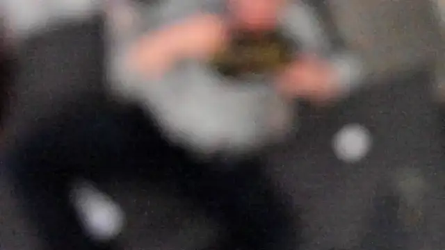 stillwild online show from February 6, 2025, 4:42 am