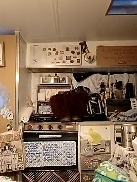 whitetrashdirtyslut online show from March 18, 2026, 1:14 pm