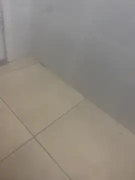 rafahpirusudo online show from March 19, 2026, 8:29 am