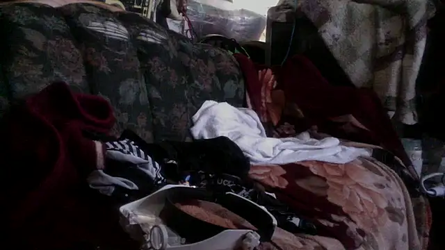 Phelyxx elgato online show from December 9, 2024, 12:12 am