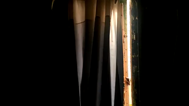 Haztogo4me online show from April 18, 2026, 7:58 pm