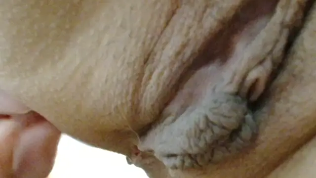 sonyx online show from March 24, 2026, 5:40 pm