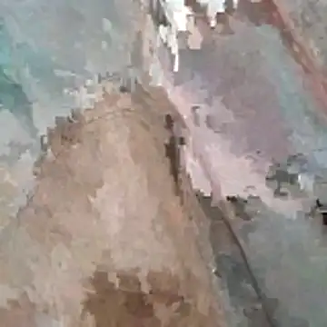 Snapshot of jockey2051992 chatting on March 7, 2026, 3:25 am jockey2051992 online show from March 7, 2026, 3:25 am