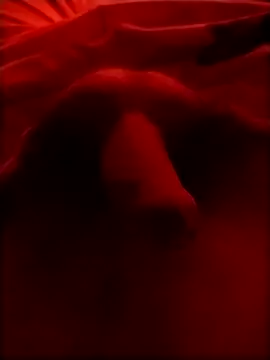 Luiz 097 online show from January 15, 2026, 5:56 am