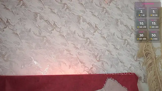 roselinedior online show from November 20, 2025, 2:17 pm