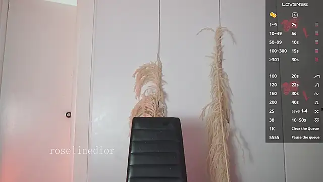 roselinedior online show from January 15, 2026, 1:16 pm