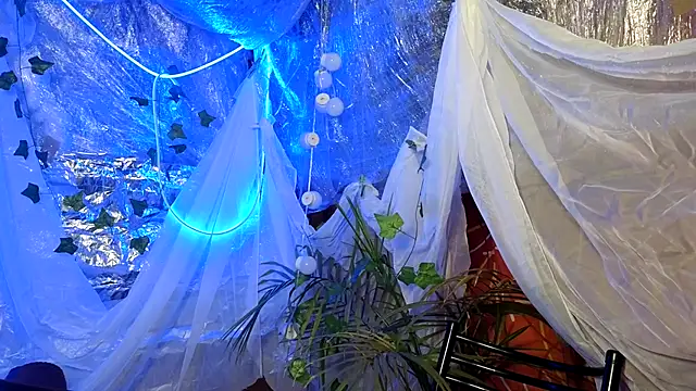 Jony Marta online show from October 16, 2025, 2:51 pm