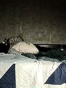 Snapshot of BigAssKi chatting on September 27, 2025, 9:53 pm BigAssKi online show from September 27, 2025, 9:53 pm