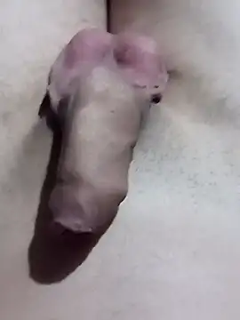 Snapshot of El22_1431 chatting on January 17, 2025, 4:39 am El22 1431 online show from January 17, 2025, 4:39 am