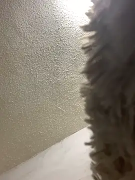 talitasilvx online show from March 18, 2025, 11:09 pm