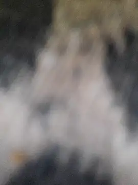 Snapshot of marcialoira chatting on February 5, 2025, 10:12 pm marcialoira online show from February 5, 2025, 10:12 pm