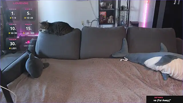 Clairedelilah online show from January 21, 2025, 8:32 pm