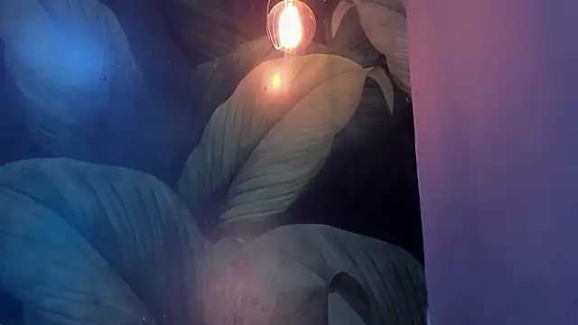 sweett dirty online show from January 27, 2025, 6:20 pm