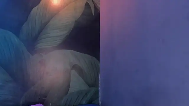 sweett dirty online show from February 1, 2025, 3:28 pm