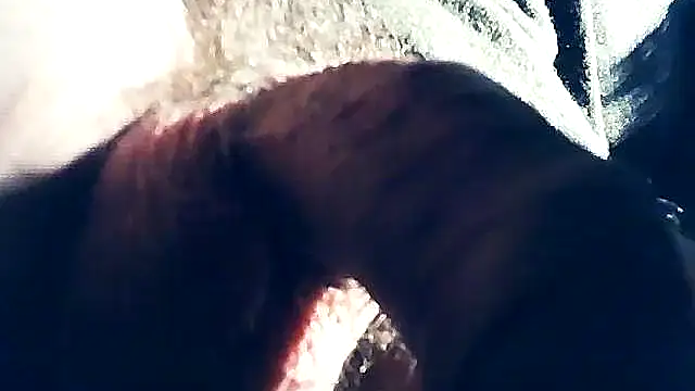 wedge75 online show from February 8, 2025, 10:29 pm