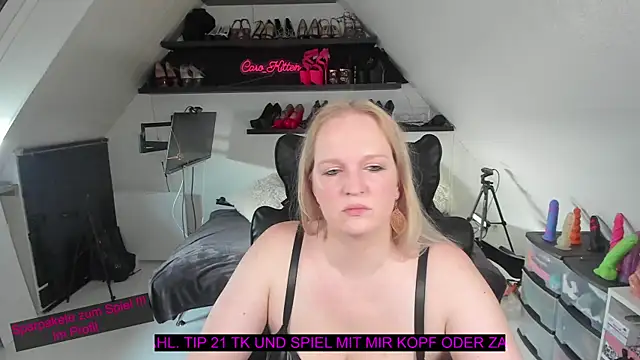 caro kitten online show from January 17, 2026, 11:04 am