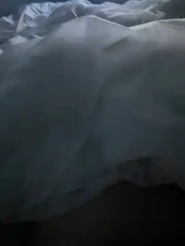 Pongobongo40 online show from February 26, 2026, 1:37 am