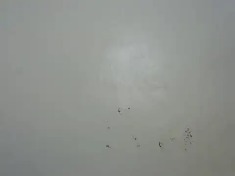 Snapshot of Rasta_tattooed chatting on February 6, 2026, 10:46 pm Rasta tattooed online show from February 6, 2026, 10:46 pm