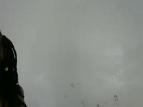 Rasta tattooed online show from March 13, 2026, 6:14 pm