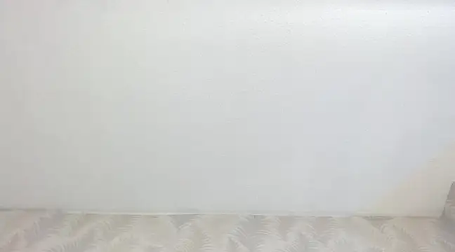 KasandraPhillips online show from February 13, 2025, 10:33 pm