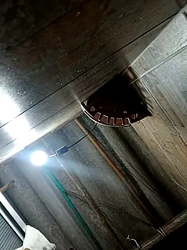 Restrepo300 online show from October 3, 2025, 11:13 pm