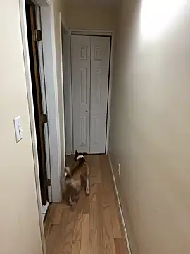 DaddySnowXX online show from December 16, 2024, 11:33 am